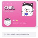 메종드레오