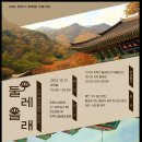 올래 이미지