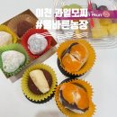 이천농장 | 이천 올바른농장ㅣ과일모찌 후기, 샐러드와 신선한 과일까지🍓