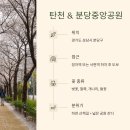 소풍길 들꽃산책 이미지