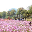 선학하키경기장 이미지