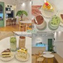 제주 아라동 카페 에끄랑 제주시 케이크 맛집 내돈내산
