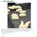 2026 한국국제베이커리페어+커피엑스포 관람 후기 (추천? 비추천?)