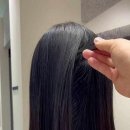 HAIR 514 이미지