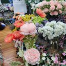 W10) 제주도 웨딩 스냅촬영🌸_준비물,촬영후기,너나울스냅,티나드레스,벚꽃배경