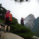 산과사람 - 남구 | 산과사람