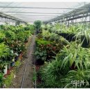 경원농장 이미지