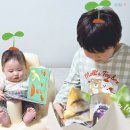 아람 자연이랑 LG전자 틔운미니 독후활동 자연관찰책 추천