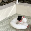 구례나날 이미지