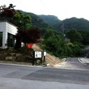 단대117 Daum카페