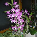 강변북로3 이미지