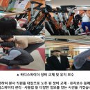 드림체육사