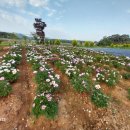 한길농장 이미지