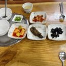 섬진강봉선다슬기 이미지