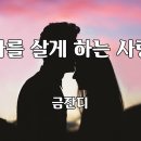 ❤️ 나를살게하는사랑~금잔디 이미지