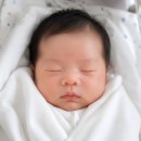 쌍둥이 임신 29주 기록 :: 주호빵 주찐빵 얼굴 본 썰 푼다! 입체초음파 반 성공…