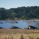 태양행정사 이미지