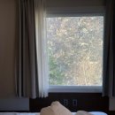 영동하나로마트 이미지