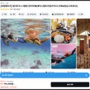 마이바베큐캠프 | 보홀 로컬페이지 발리카삭 + 나팔링 호핑투어 할인 꿀팁 후기