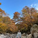 계곡수채화 | 제주도 단풍 명소 천아계곡 천아숲길 제주 11월 가볼 만한 곳