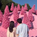 남자친구랑 포천 1박2일 여행, 허브아일랜드 필수코스인 이유