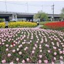 낙동강관리본부 화명생태공원 12 이미지