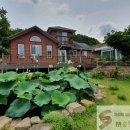 안동화련 이미지