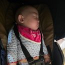 카필드 | 하남 스타필드 아쿠아카페 카페드아쿠아 후기 (아기랑 가기 좋은 실내데이트)