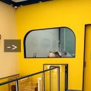 변신해보개 이미지