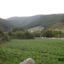 태백농원 이미지