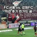 FC서울 강원FC 직관 후기 린가드 골 호날두 데뷔