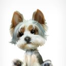 러블리 강아지 이미지