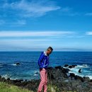 대평 목장 이미지