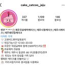 제주 케이크 주문제작 제주시 레터링 수제 도시락케이크 맛집 캣쿠