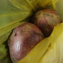 금수농장2 이미지