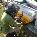 석화농원 이미지