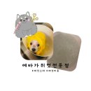 에바 가위컷 전문점 이미지