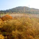 람사르습지길 이미지