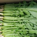 빛들농장 이미지