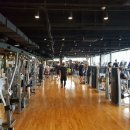 자마이카휘트니스 이미지