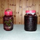 발교산 산장 이미지