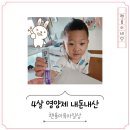 4살 영양제 추천 내돈내산 찐한달후기 닥터피엔티 트리플뮨 플러스