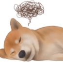 강언근자동차병원 이미지