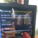 서대문역 맛집 식껍서대문역점 점심특선 후기(청국장+돼지불백,부산밀면,계란찜)