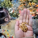 면목동-045 이미지