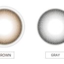 데일리안경원 위드렌즈 이미지