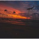 서쪽노을 이미지