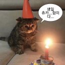 별과동 이미지