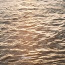 해변산장 이미지