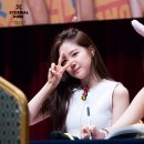 Pink UP 카카오 검색결과